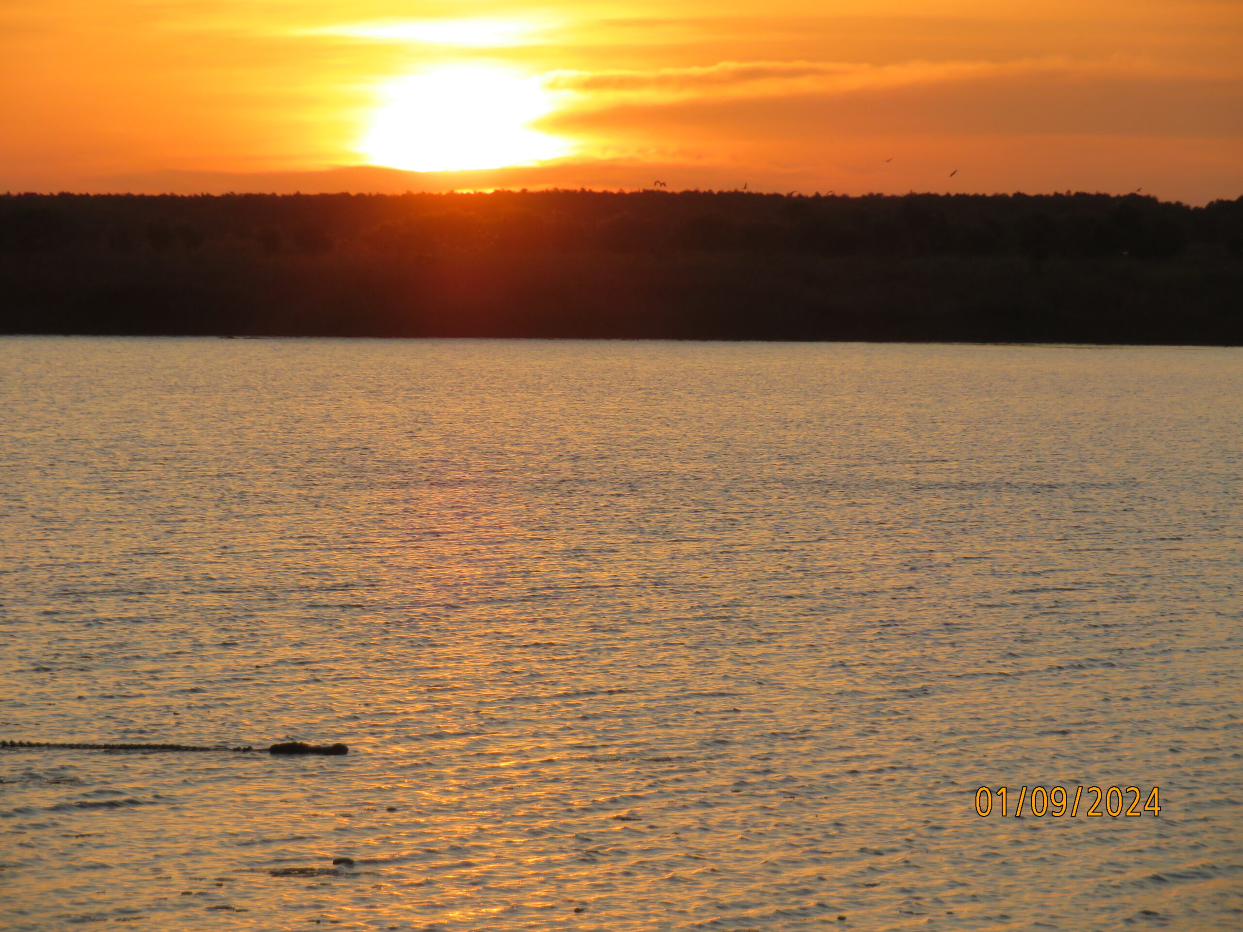 Mary River Croc Sunset