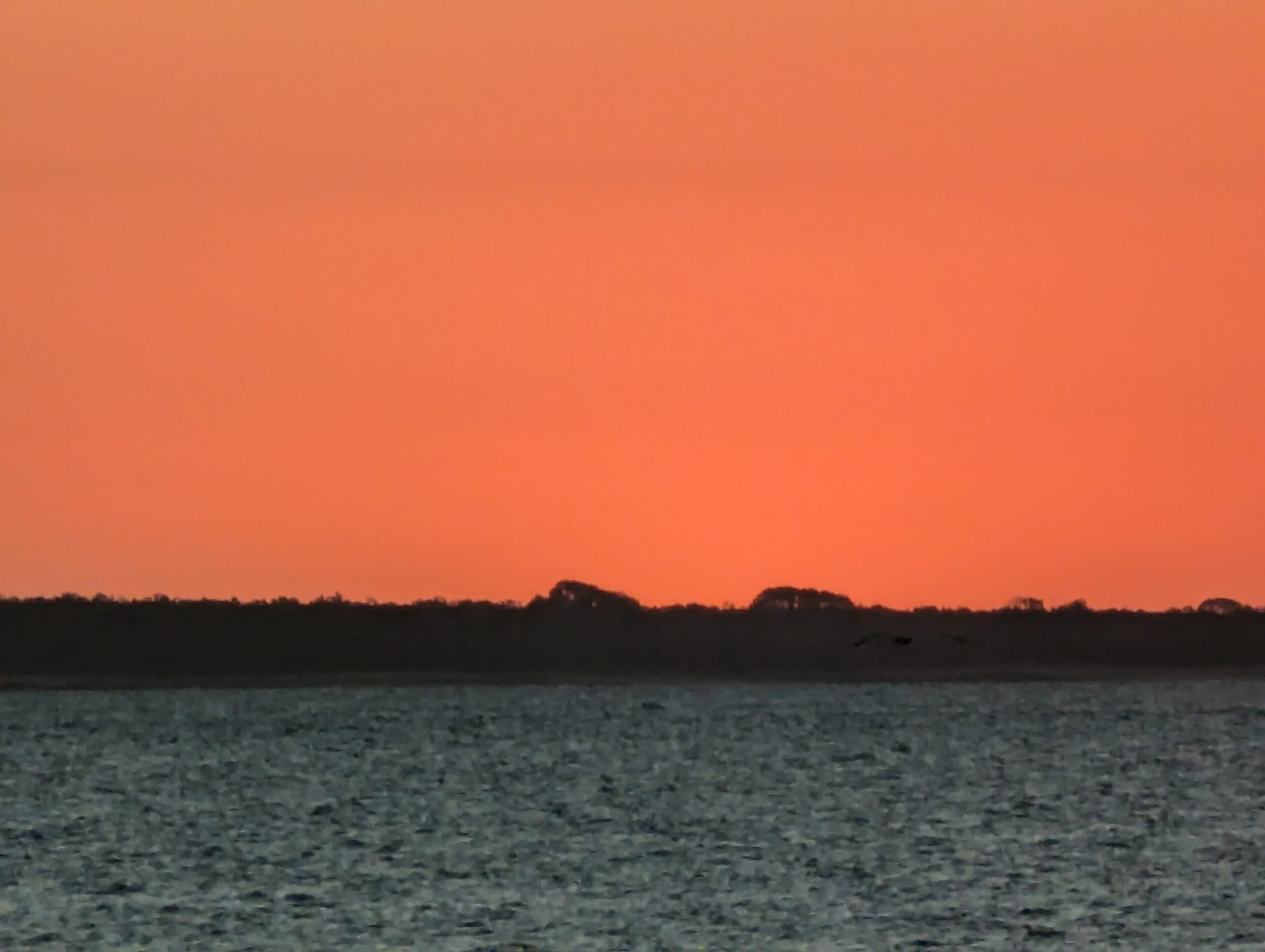 Mindle Markets Beach Sunset 6