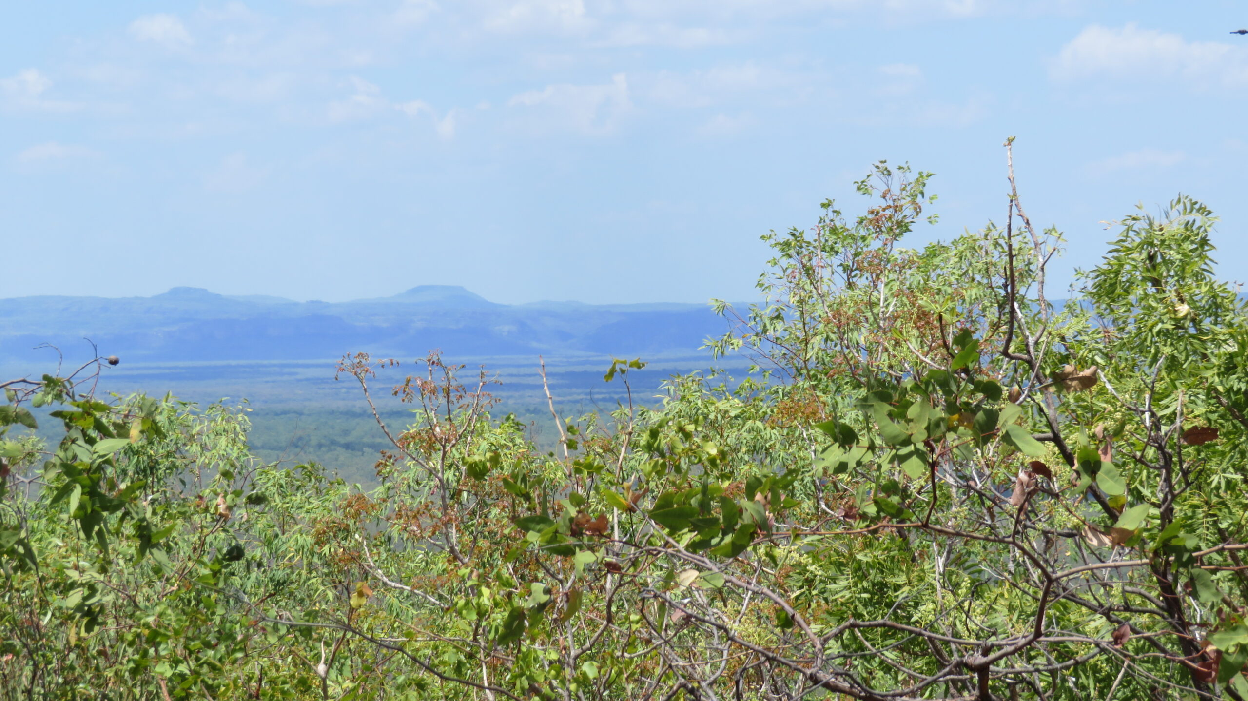 Mirray Lookout 1